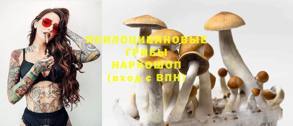 прущий лед Медвежьегорск