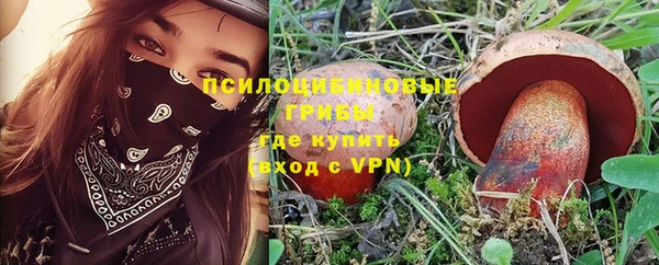 а пвп мука Медногорск
