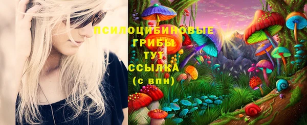 а пвп мука Медногорск