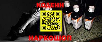 a pvp Камышлов