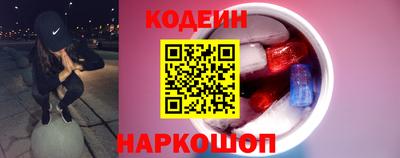 a pvp Камышлов