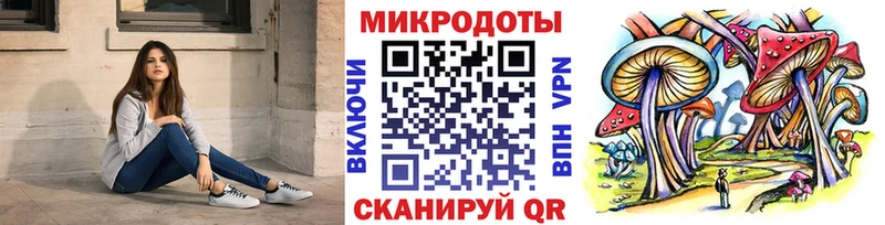 закладки  Энгельс  Псилоцибиновые грибы Cubensis 