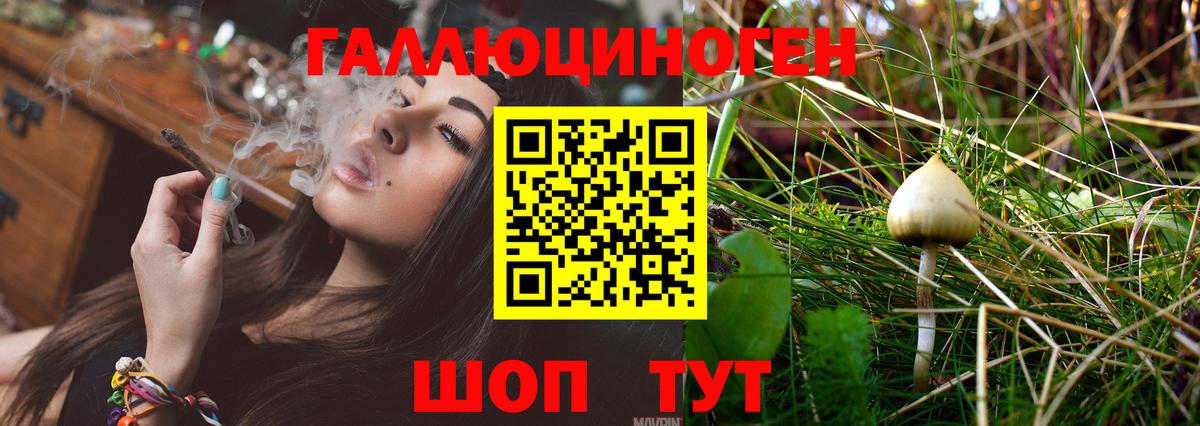 Галлюциногенные грибы MAGIC MUSHROOMS  как найти   Энгельс  Галлюциногенные грибы прущие грибы 