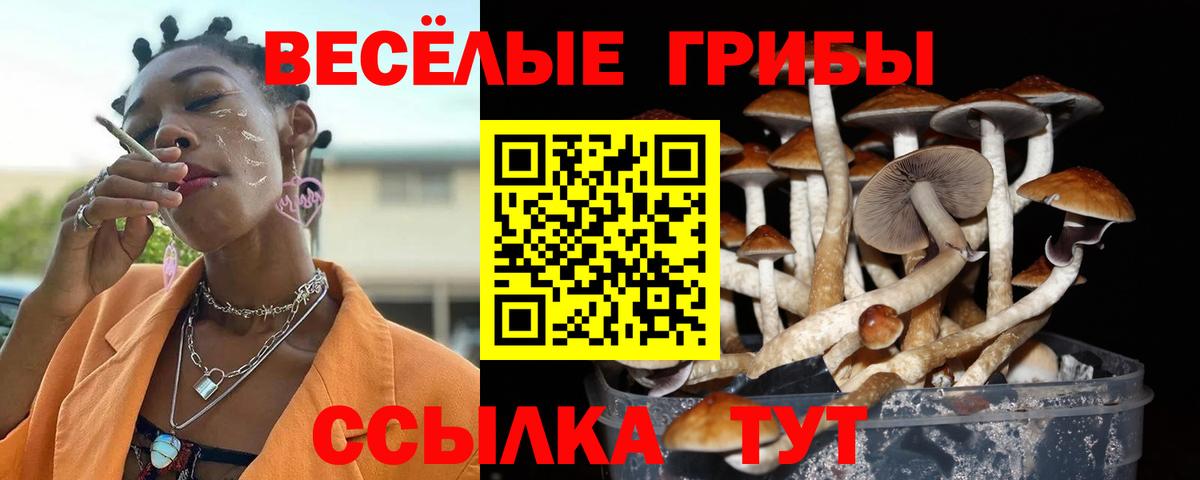 Псилоцибиновые грибы MAGIC MUSHROOMS  Вход с VPN  Энгельс  Галлюциногенные грибы мухоморы 